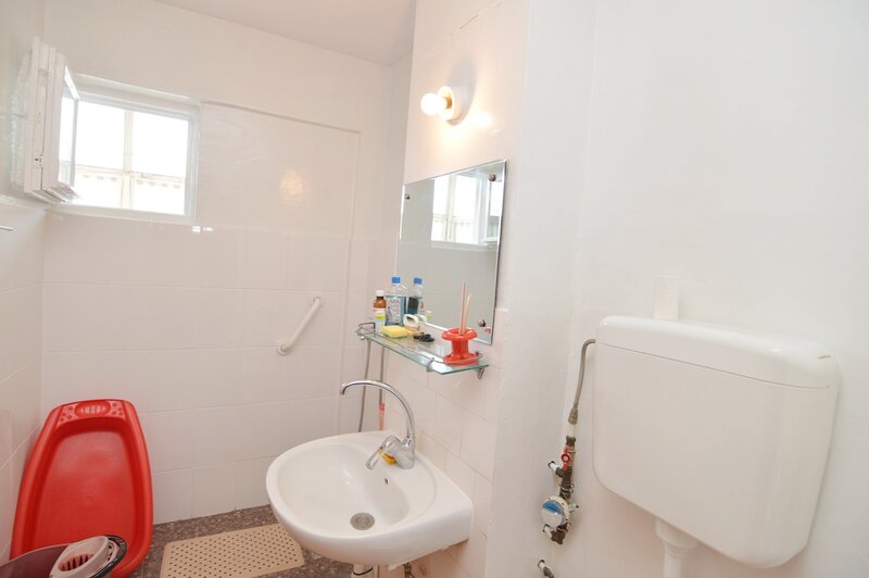 Tineretului, Parc Tineretului